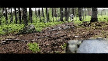 Video gif. Very fit man runs down a trail in a wooded area.