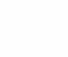 Backnang Wolverines GIF