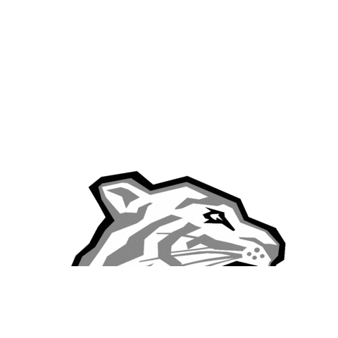 Nürnberg Ice Tigers Sticker