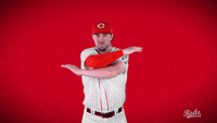 Tommy Pham Baseball GIF by Cincinnati Reds - Find & Share on GIPHY