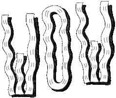 Dgkw Wow Sticker by Die Goldkinder