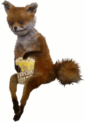 dis gon b gud popcorn GIF