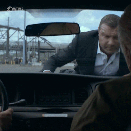 Telling Off Liev Schreiber GIF by Ray Donovan