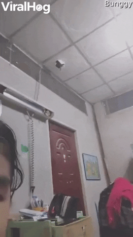 Ninja Cat Descends From Ceiling Hole GIF by ViralHog