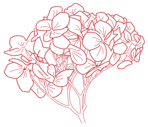 Julia Nance Portraits GIFs on GIPHY - Be Animated