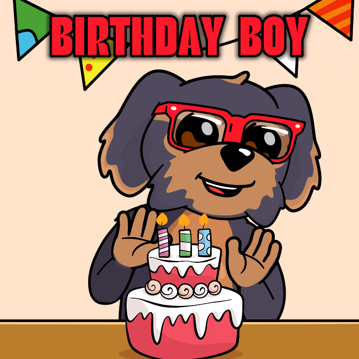 Happy Birthday Party GIF by BoDoggos