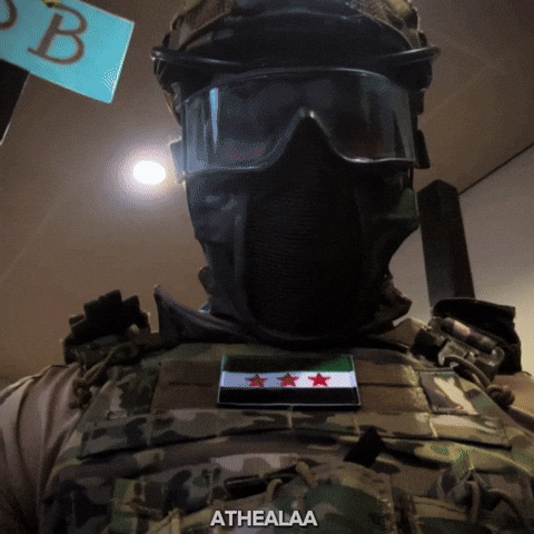 Syria Syrian Flag GIF