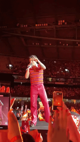 Harry Styles Concert GIF by Storyful