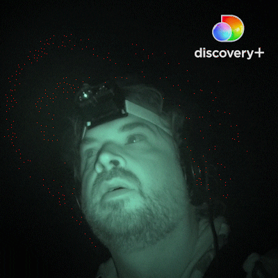 Ghost Adventures GIF by travelchannel