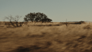 Horseback Riding Horse GIF by Midland
