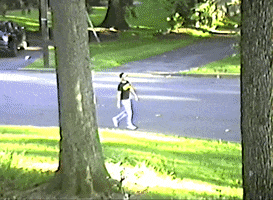 200.gif?cid=fc005b0865cd0786002e0d7be064b8c0033ef75269cc43f7&rid=200.gif&ct=g