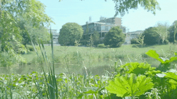 Lake Campus GIF by The University of Bath