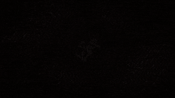 Kap GIF by Kap.formaturas