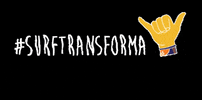 SurfTransforma GIF