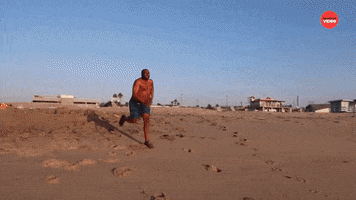 Excited Beach GIF by BuzzFeed