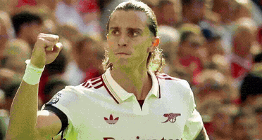 Arsenal Football GIF by memes