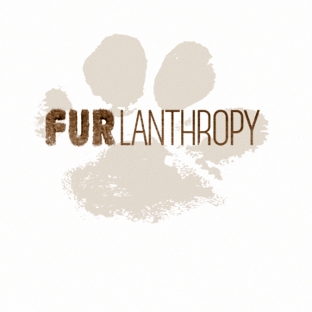 Furlanthropy GIF
