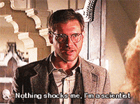 Best The Fugitive Gifs Primo Gif Latest Animated Gifs