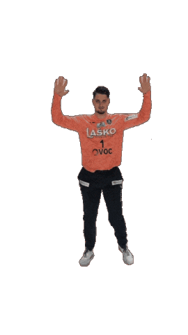 Goal Handball Sticker by RK CELJE