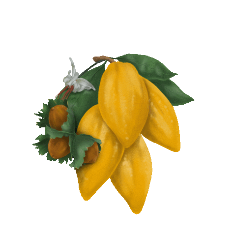 Amalai Sticker