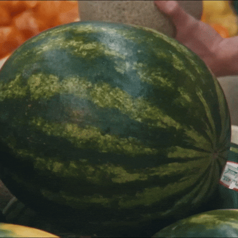 Fruit Watermelon GIF by Kacey Musgraves