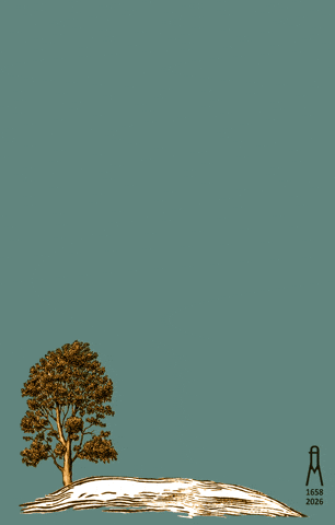 Orangutan Batavia GIF