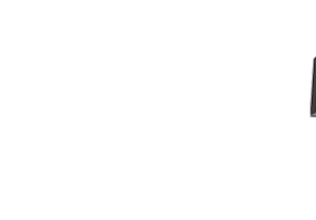 NZSki Sticker