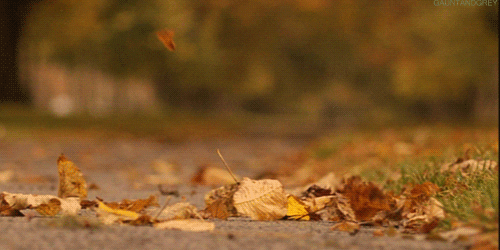 podzimní GIF