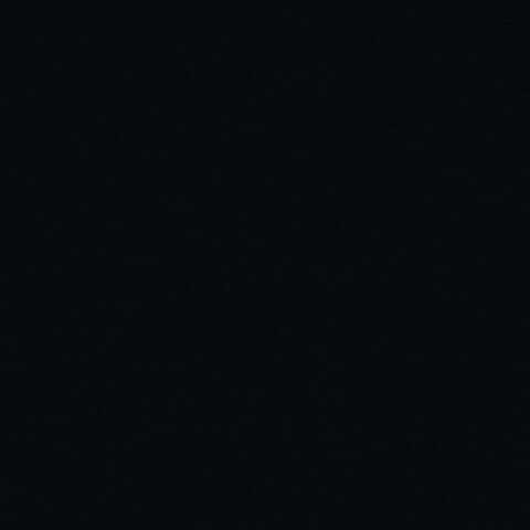 randomgif