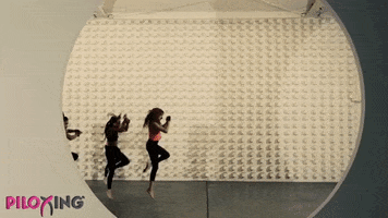 Fitness Exercise GIF by Piloxing