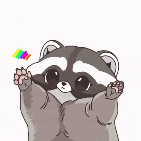 Racoon GIF