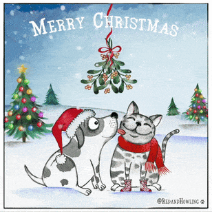 Merry Christmas Love GIF by Red and Howling