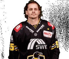 Del2 Seidenstadt Sticker by Krefeld Pinguine