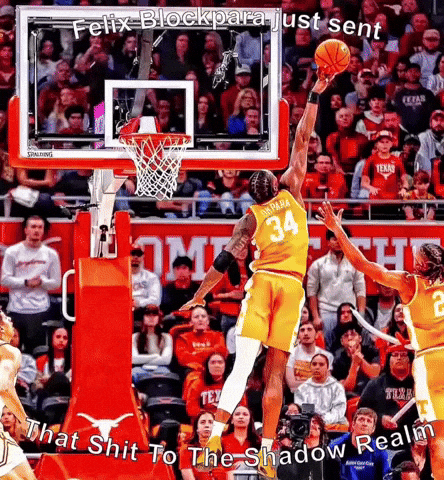 Tennessee Volunteers GIF