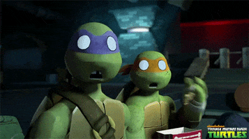 Nickelodeon Lol GIF by Teenage Mutant Ninja Turtles