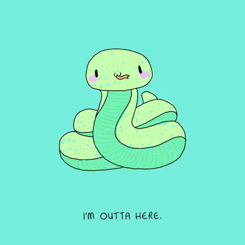 Leaving St Patrick GIF