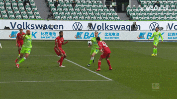 Well Done Good Job GIF by VfL Wolfsburg