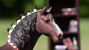 Horse Prince GIF by Skint Dressage Daddy