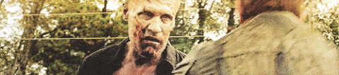 merle dixon