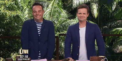 ant and dec im a celebrity GIF