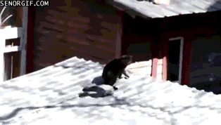 source.gif