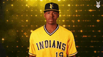 Minor League Baseball Logo GIF by Indianapolis Indians