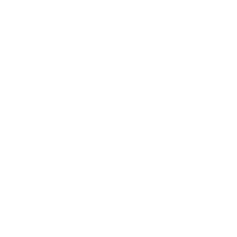 De Digiwijzeres voor Ondernemers Sticker