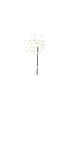 Star Sticker