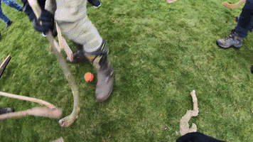 200.gif?cid=fc005b08e01cda45b32032ecff94a839cd3ec8f47b458887&rid=200.gif&ct=g
