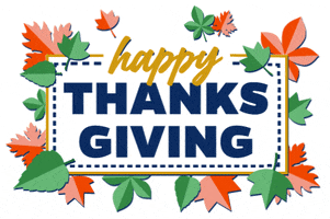 Give Thanks Winter GIF by University of Florida