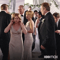 I Cant Hear You Wedding Crashers GIF by HBO Max