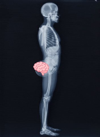 Face Brain GIF