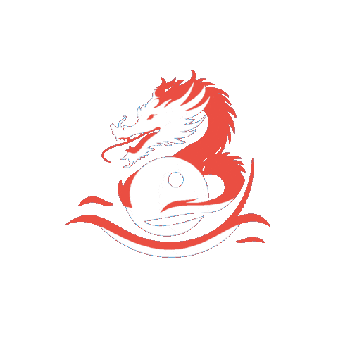 Home Care Dragon Sticker by DANA Senioreneinrichtungen