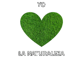 Anemone Jardineria Sticker